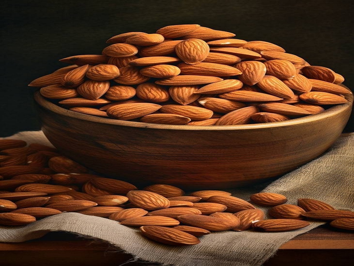 AMONDS - Photo Gallery