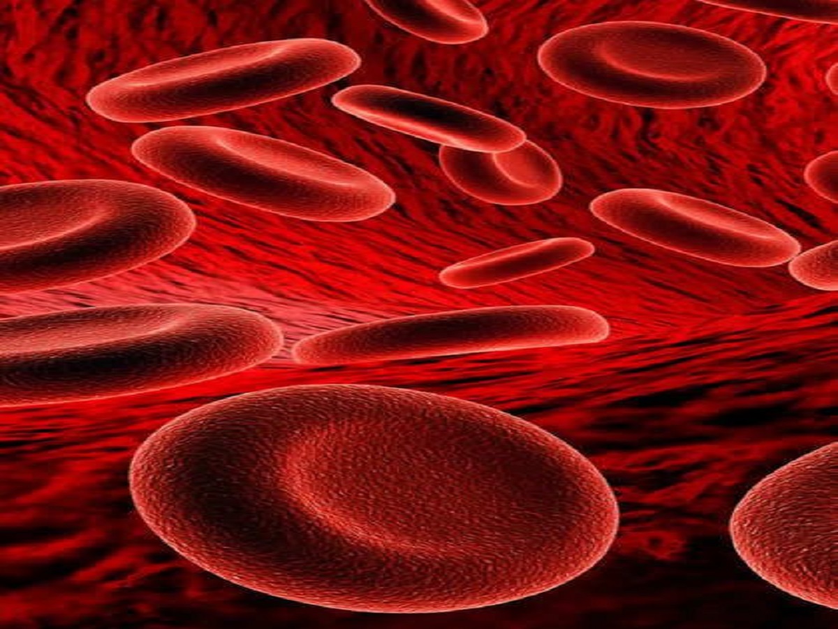 Blockage in the veins of the body: शरीर की नसों में ब्लॉकेज - Photo Gallery