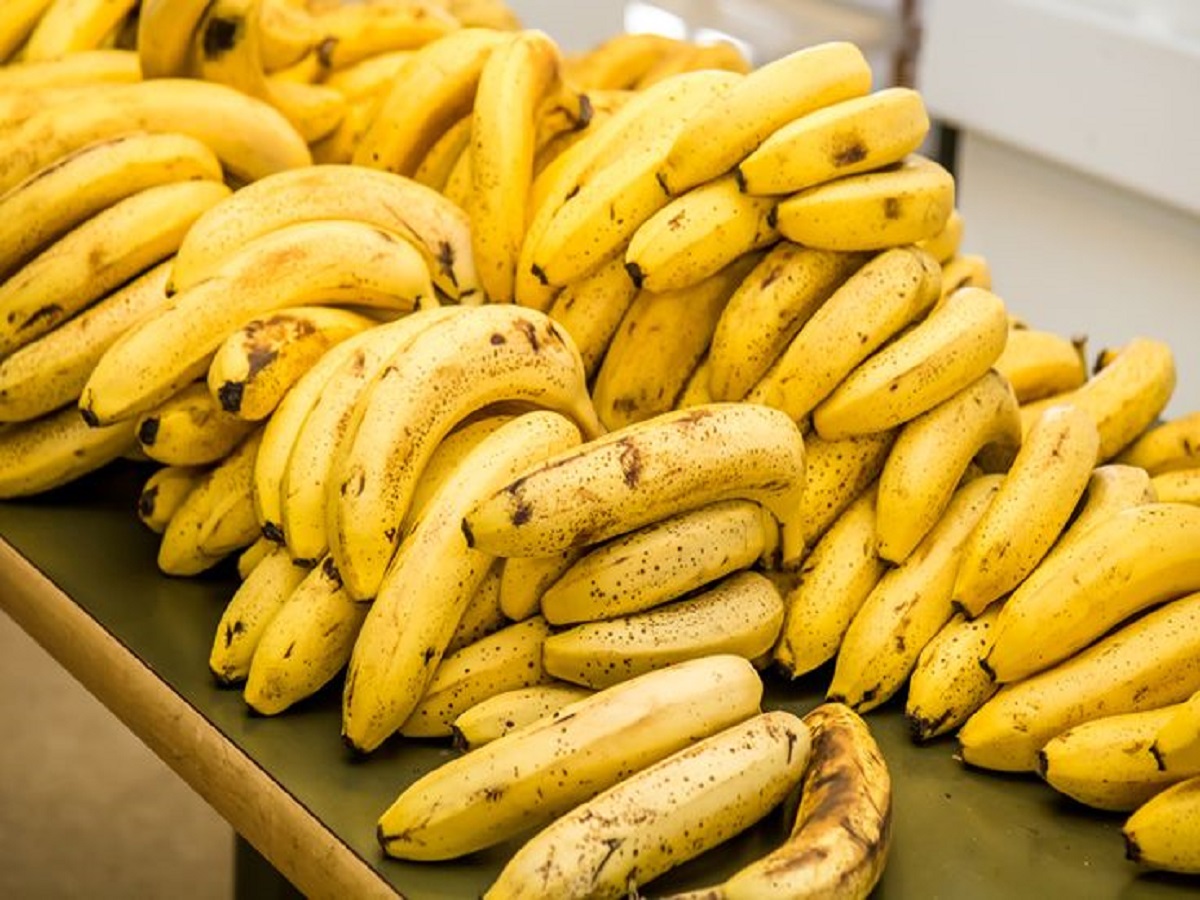 7 Best Monsoon Fruit: ये कुछ फल बारिश के मौसम में खाने से रहेगा आपका शरीर भी मजबूत और हेल्दी - Photo Gallery