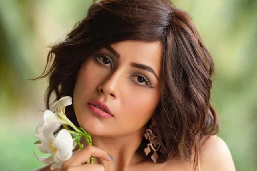 यहाँ 2025 के टॉप बॉलीवुड आइटम सॉन्ग की लिस्ट है – नोरा फतेही से लेकर शहनाज़ गिल तक सभी हॉट डांस परफॉर्मेंस शामिल - Photo Gallery