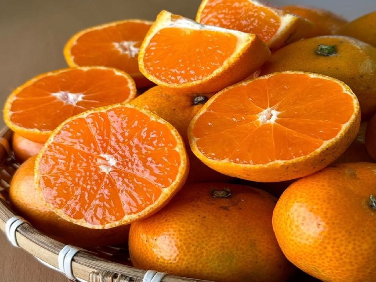 7 Best Monsoon Fruit: ये कुछ फल बारिश के मौसम में खाने से रहेगा आपका शरीर भी मजबूत और हेल्दी - Photo Gallery