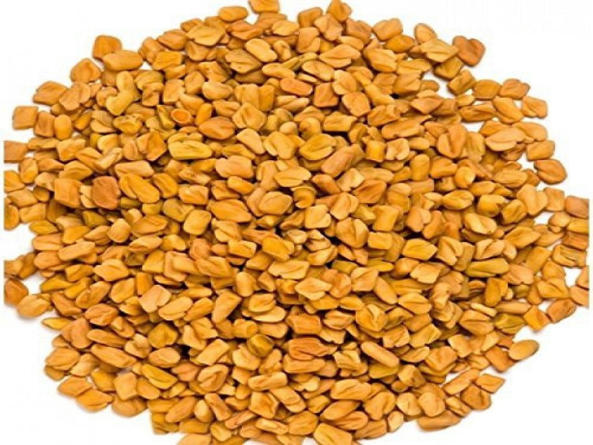 Why is donating fenugreek so beneficial for the body, let’s find out!: मेथी का दाना  शरीर  के लिए क्यों इतना लाभदायक है ,आइए जानते है ! - Photo Gallery