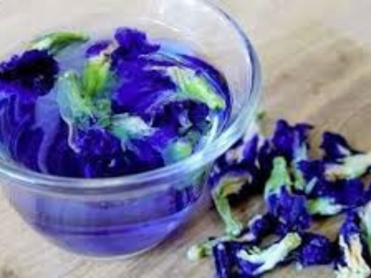 वजन घटाना हो या इम्यूनिटी बढ़ानी हो। ये हर्बल टीज हैं आपके लिए सबसे बेस्ट - Photo Gallery