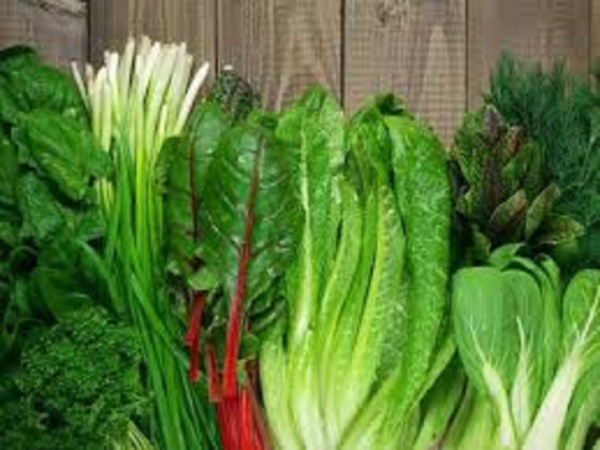 “Be careful! These 7 healthy things can make you sick in monsoon”:”सावधान! ये 7 हेल्दी चीज़ें मानसून में आपको बीमार कर सकती हैं” - Photo Gallery