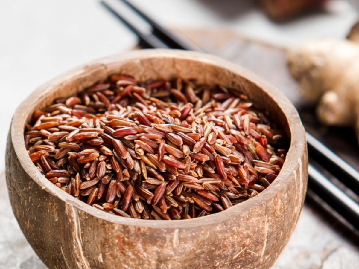 White vs brown rice: जानें सफेद चावल और ब्राउन चावल में से कौन सा चावल रखता है हमारी सेहत का ध्यान - Photo Gallery