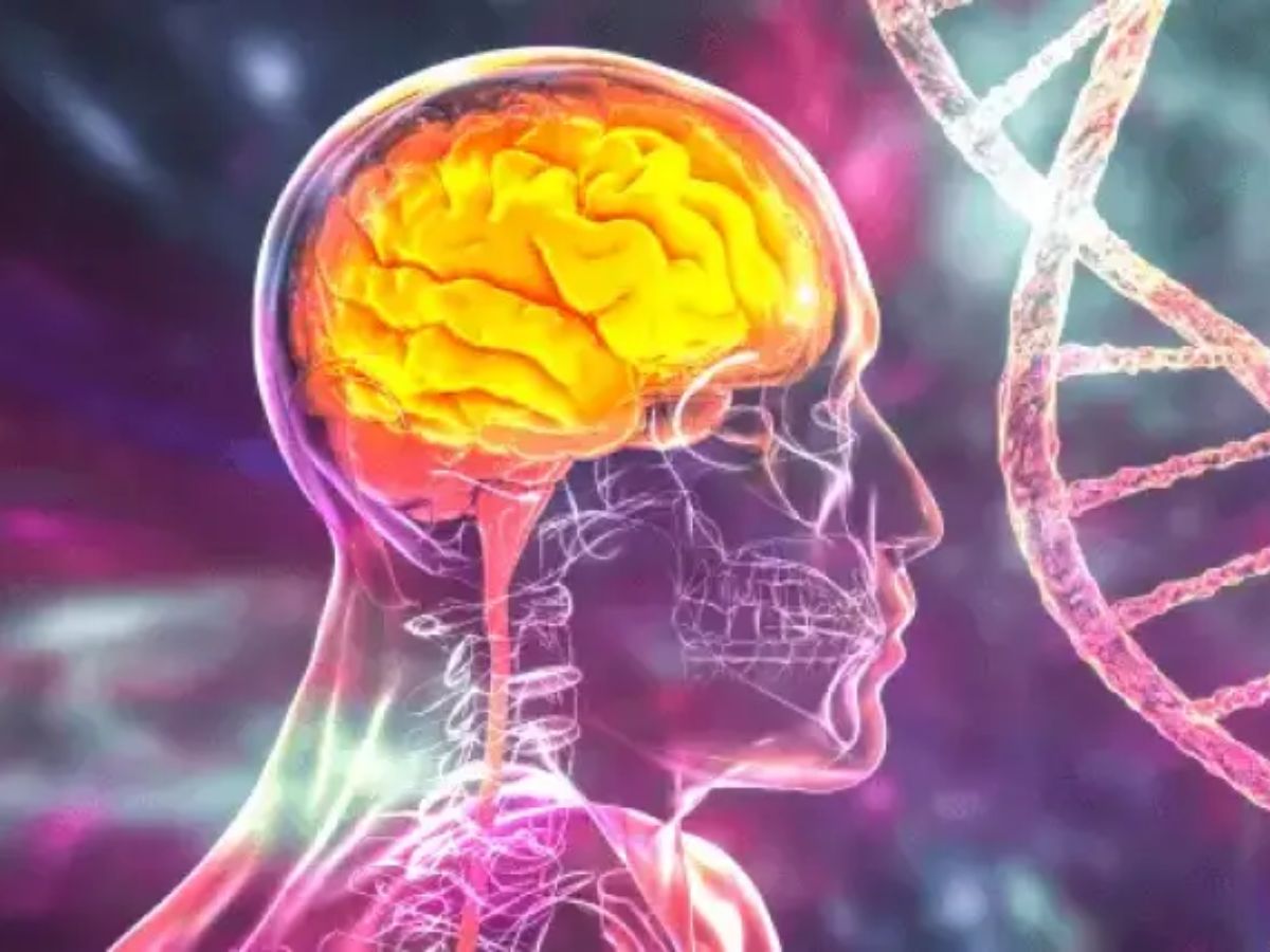 नमक: ज़रूरत या ज़हर? जानिए सही मात्रा और उसके नुकसान - Photo Gallery