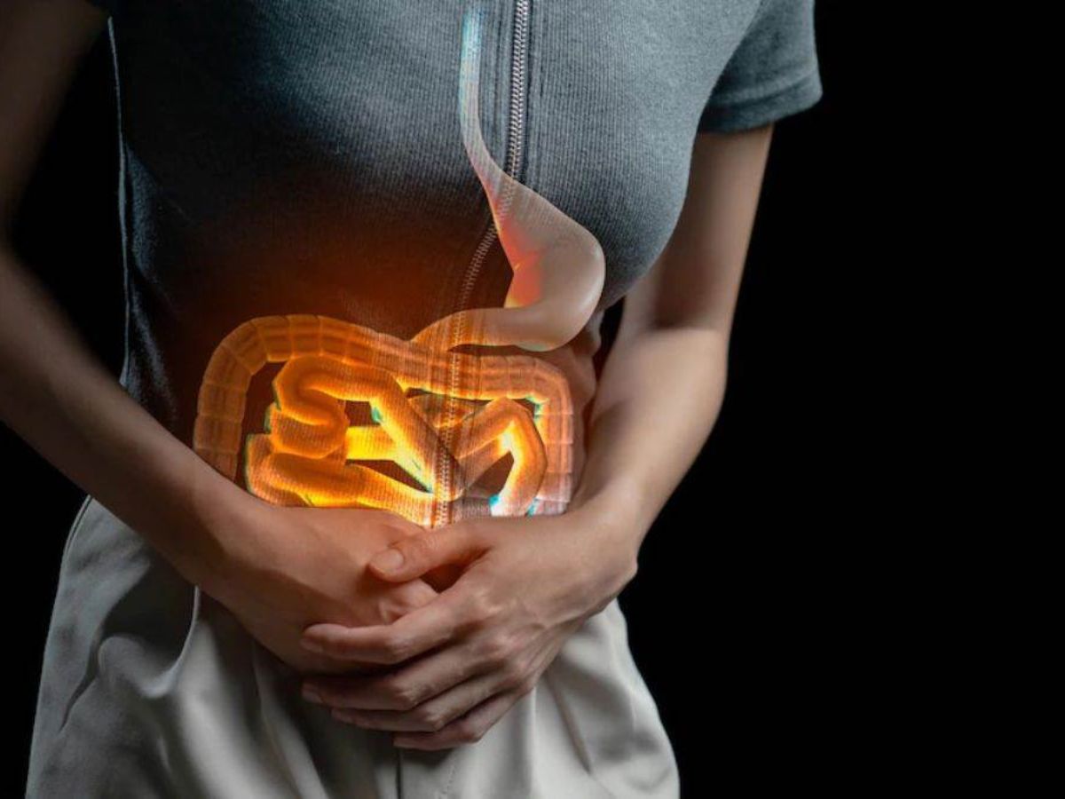 Sawan 2025: इस सावन भूलकर भी ना खाये ये दो चीज़े। जानिये वैज्ञानिक कारण। - Photo Gallery