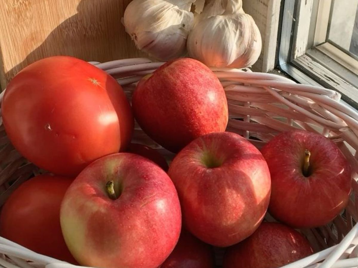 हाई यूरिक एसिड वालों के लिए वरदान साबित हो सकते हैं ये कुछ फूड्स - Photo Gallery