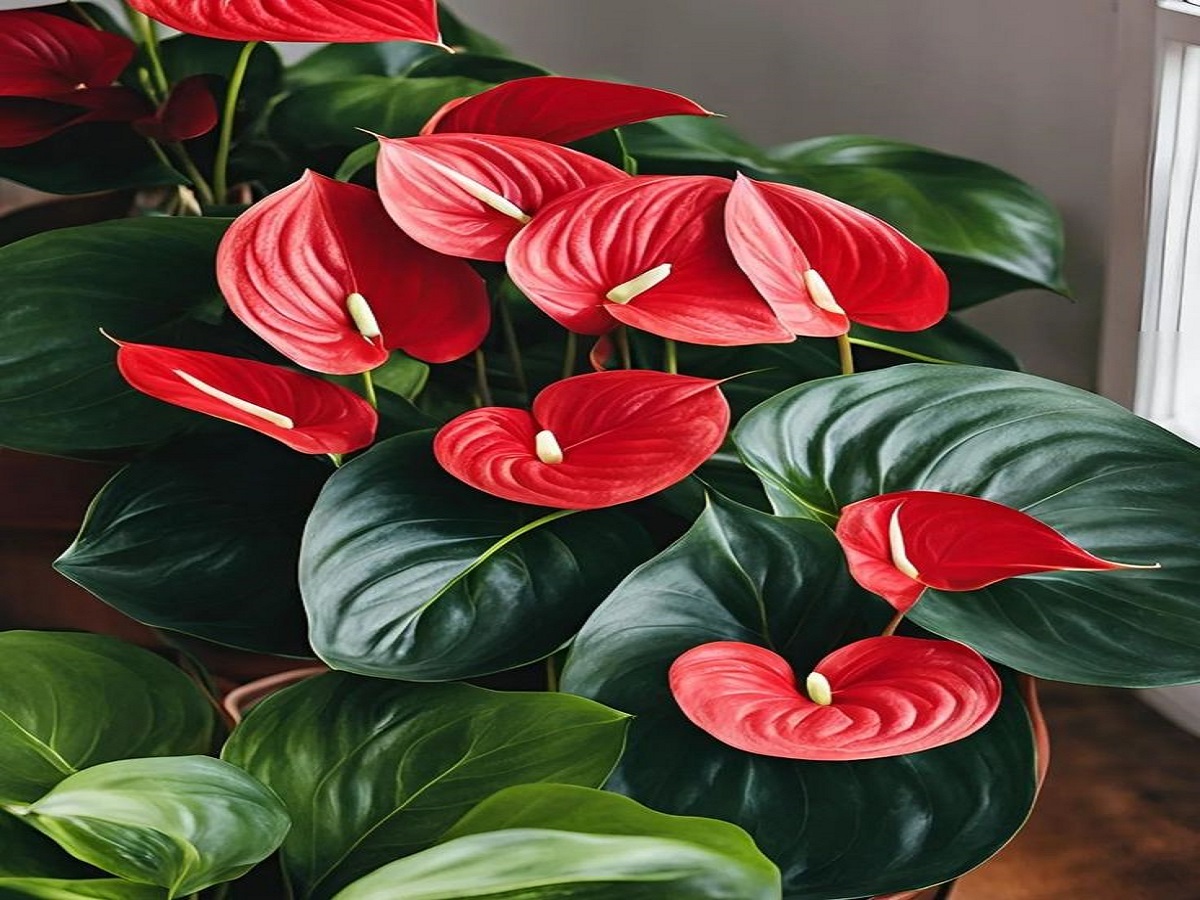 Healthy Homes Need Flowers: ये 7 फूलों को अपने घर में लगाए, जो खुशबु के साथ खुशीयां साथ लाए - Photo Gallery