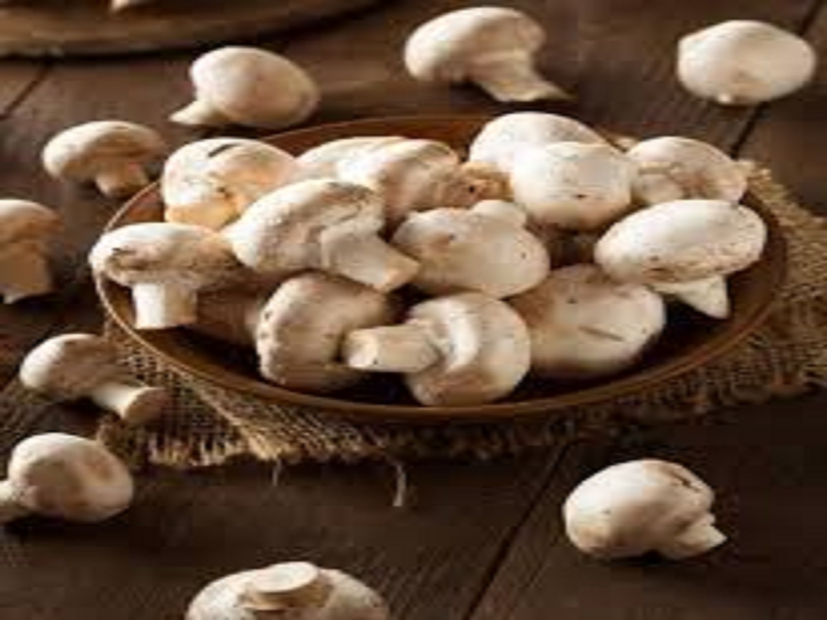 “Be careful! These 7 healthy things can make you sick in monsoon”:”सावधान! ये 7 हेल्दी चीज़ें मानसून में आपको बीमार कर सकती हैं” - Photo Gallery