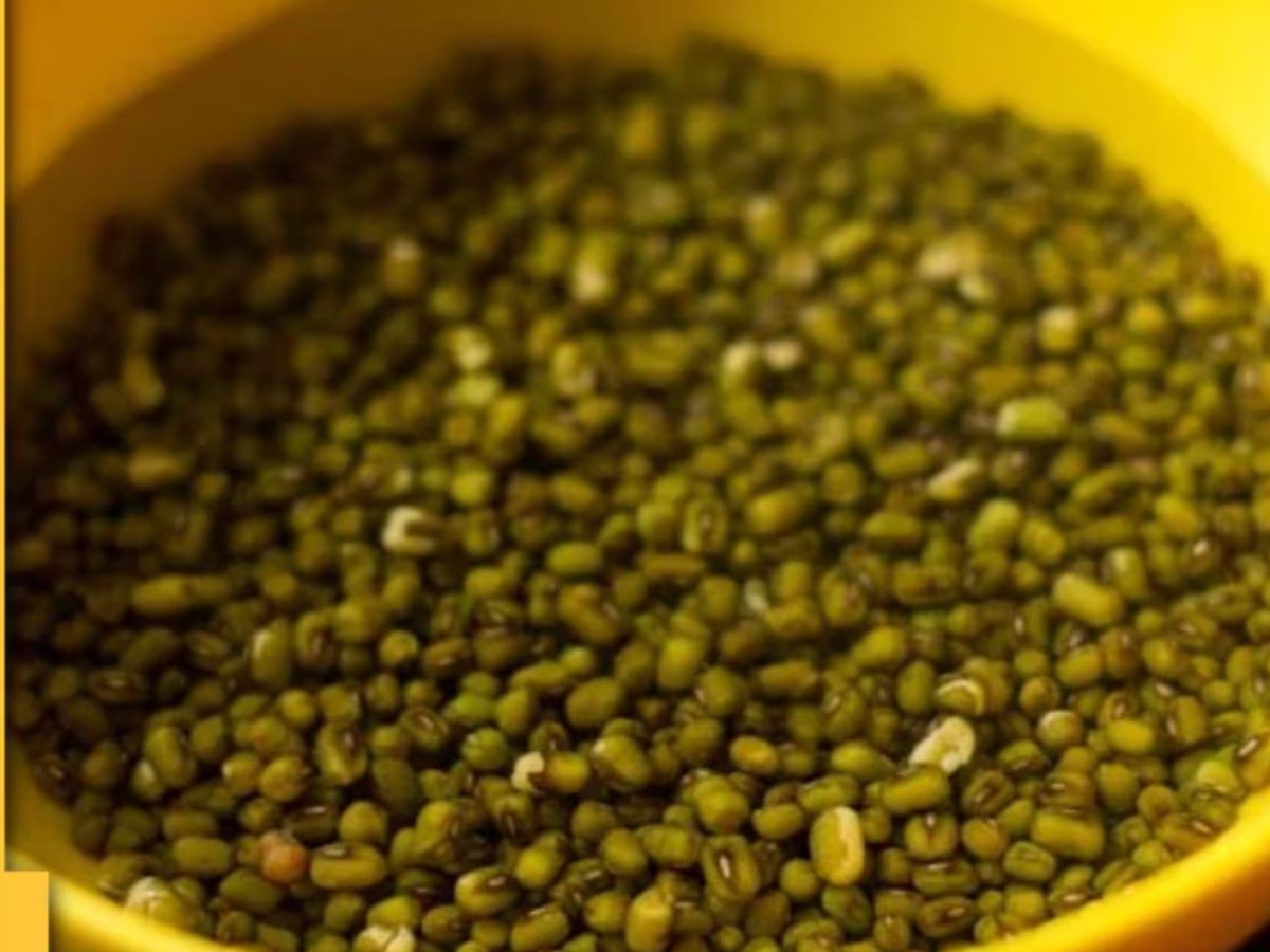 6 टेस्टी और प्रोटीन से भरपूर पराठे, जो दिल भी जीतें और सेहत भी - Photo Gallery