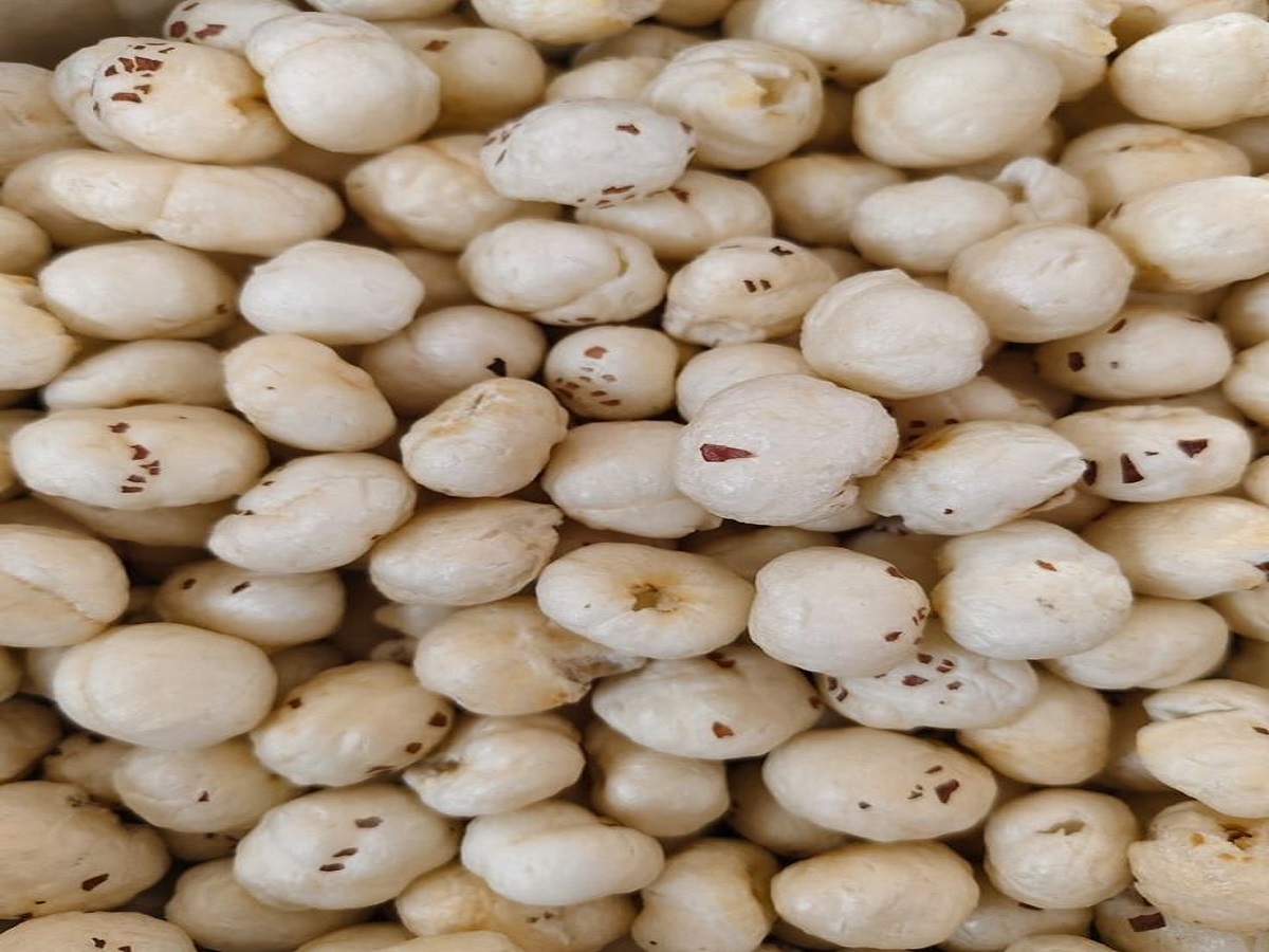 How beneficial is eating makhana for health, know its benefits!: मखाना खाना सेहत के लिए कितना लाभदायक है , जानिए इसके फायदे ! - Photo Gallery