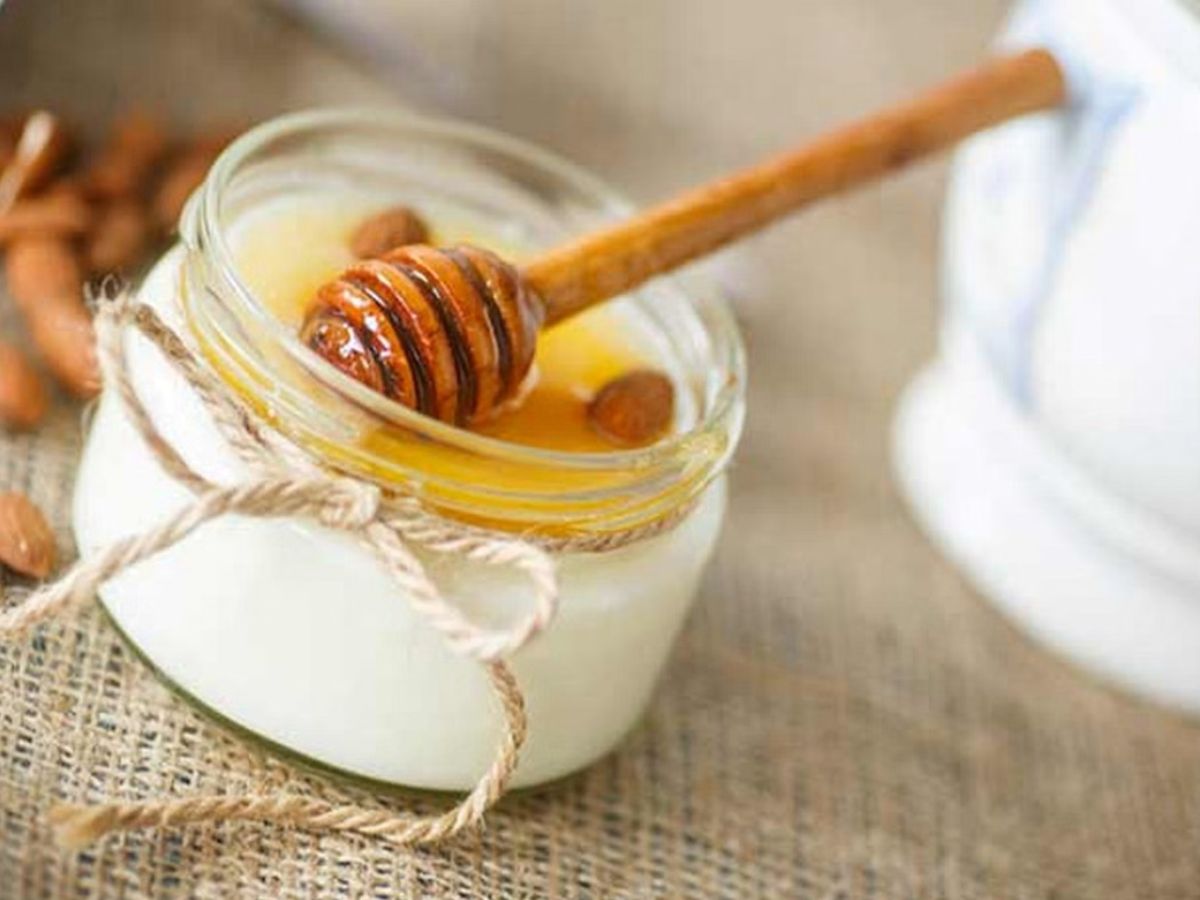 Monsoon 2025: मानसून में चाहिए फ्रिज फ्री बालों से छुटकारा ? तो अपनाए ये कुछ घरेलू नुस्खे जो है बिल्कुक देसी । - Photo Gallery