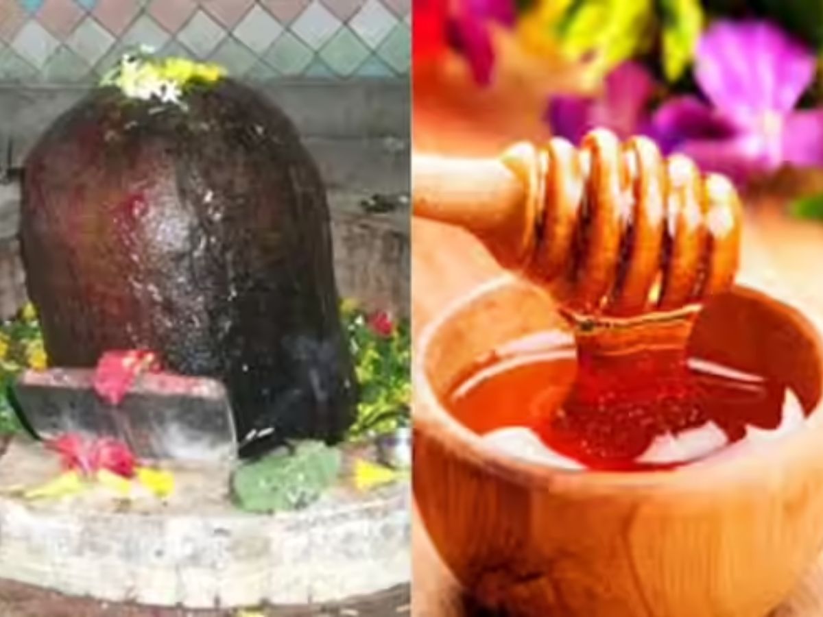 इस नाग पंचमी पर करनी है अपनी समस्याएँ दूर ? तो भगवान शिव को इन वस्तुओं से करे नियोछावर। - Photo Gallery