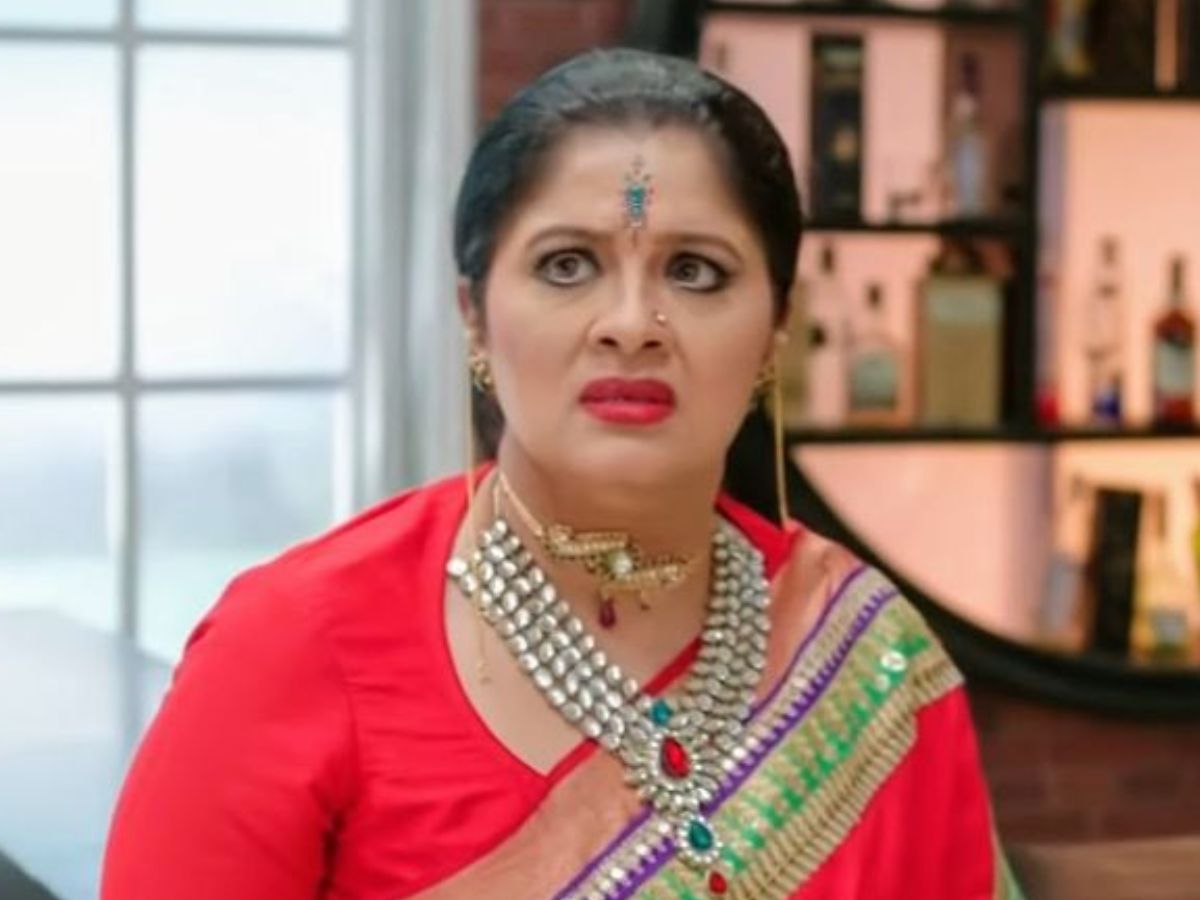 Famous Villain Of Tv Industry: काम्या पंजाबी से लेकर इन कुछ हसीनाओं ने टीवी पर विलन का रोल निभाकर दिखाया अपना कमाल - Photo Gallery