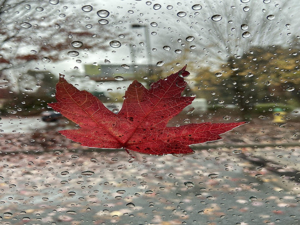 Joint Pain In Monsoon: मानसुन में बढ़ जाता है आपके भी जोड़ो का दर्द,जानिए इसका कारण और उपाय - Photo Gallery