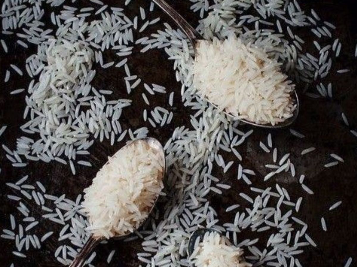 White vs brown rice: जानें सफेद चावल और ब्राउन चावल में से कौन सा चावल रखता है हमारी सेहत का ध्यान - Photo Gallery