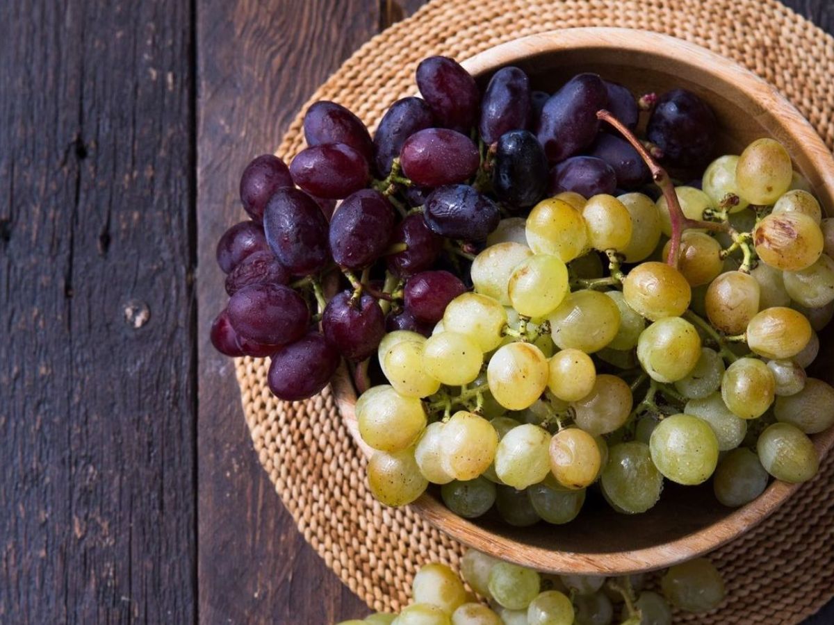 Dangerous Foods For Dogs: अपने कुत्ते को भूलकर भी न दें ये कुछ चीजें क्यूंकी यह बन सकती है उनकी जान की दुश्मन - Photo Gallery