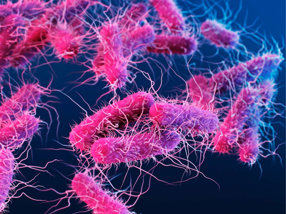 Sawan 2025: इस सावन भूलकर भी ना खाये ये दो चीज़े। जानिये वैज्ञानिक कारण। - Photo Gallery