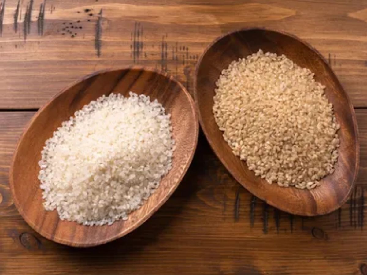 White Rice vs Brown Rice: फैट लॉस प्लान में कौन है हीरो और कौन है विलेन? - Photo Gallery