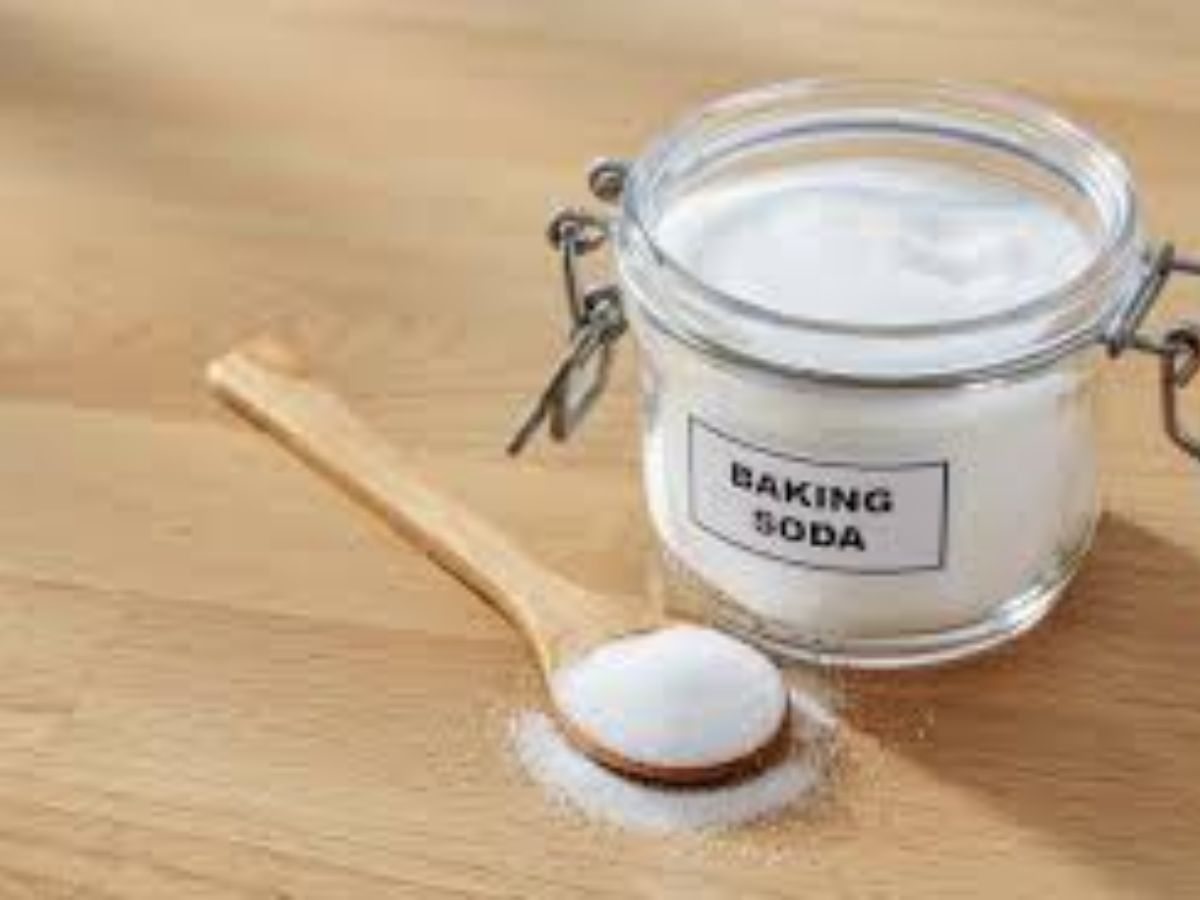 बारिश के मौसम में चींटियों का आतंक? अब नहीं! अपनाएं ये ज़बरदस्त उपाय - Photo Gallery