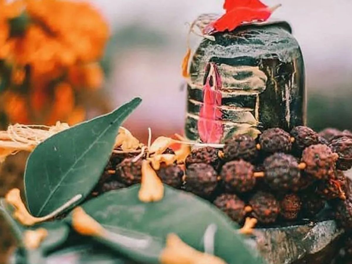 इस नाग पंचमी पर करनी है अपनी समस्याएँ दूर ? तो भगवान शिव को इन वस्तुओं से करे नियोछावर। - Photo Gallery