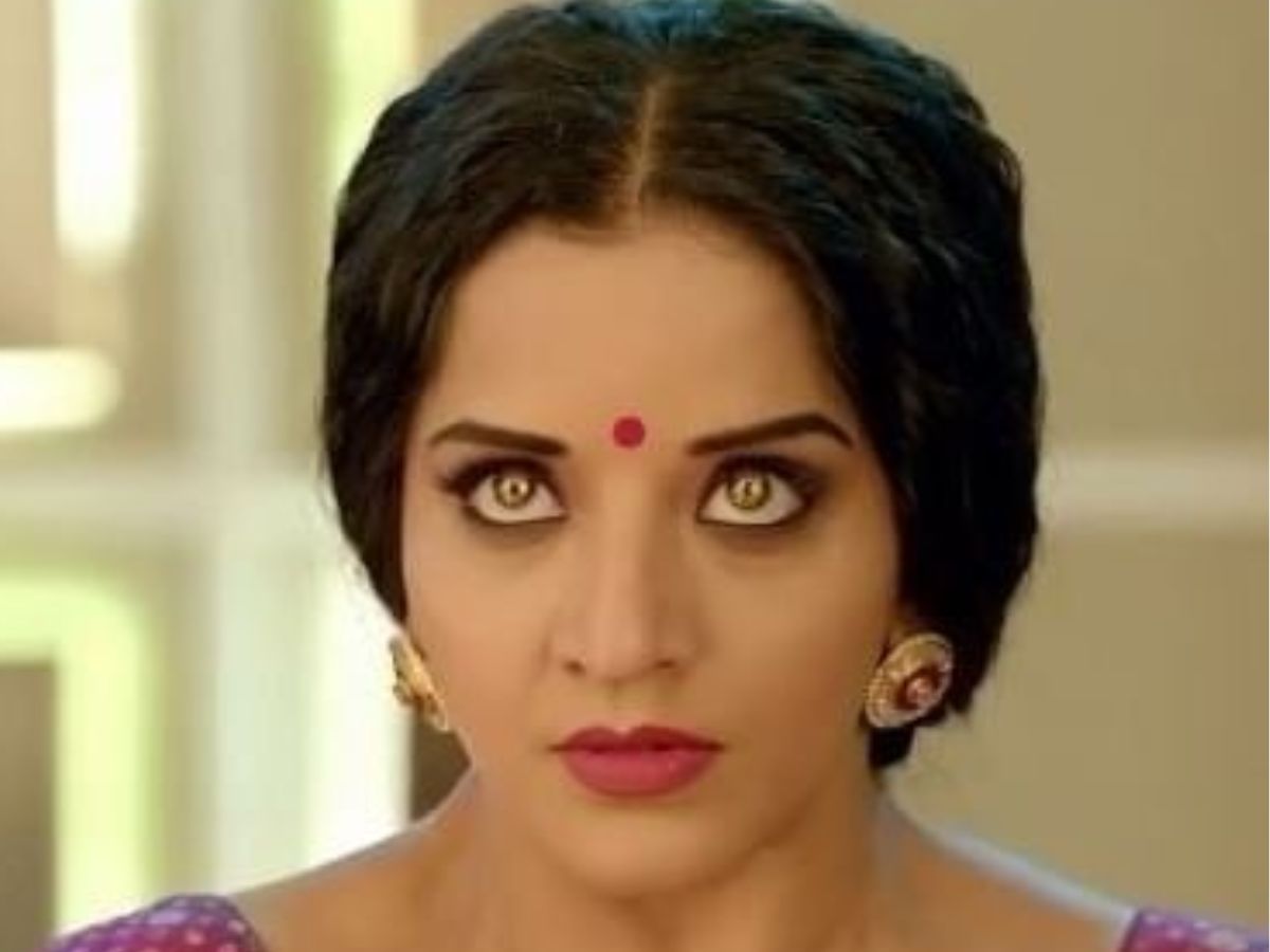 Famous Villain Of Tv Industry: काम्या पंजाबी से लेकर इन कुछ हसीनाओं ने टीवी पर विलन का रोल निभाकर दिखाया अपना कमाल - Photo Gallery