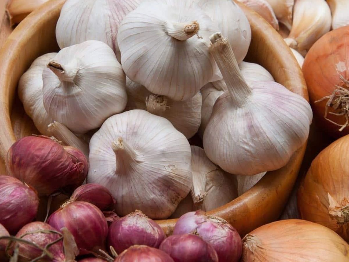 Dangerous Foods For Dogs: अपने कुत्ते को भूलकर भी न दें ये कुछ चीजें क्यूंकी यह बन सकती है उनकी जान की दुश्मन - Photo Gallery