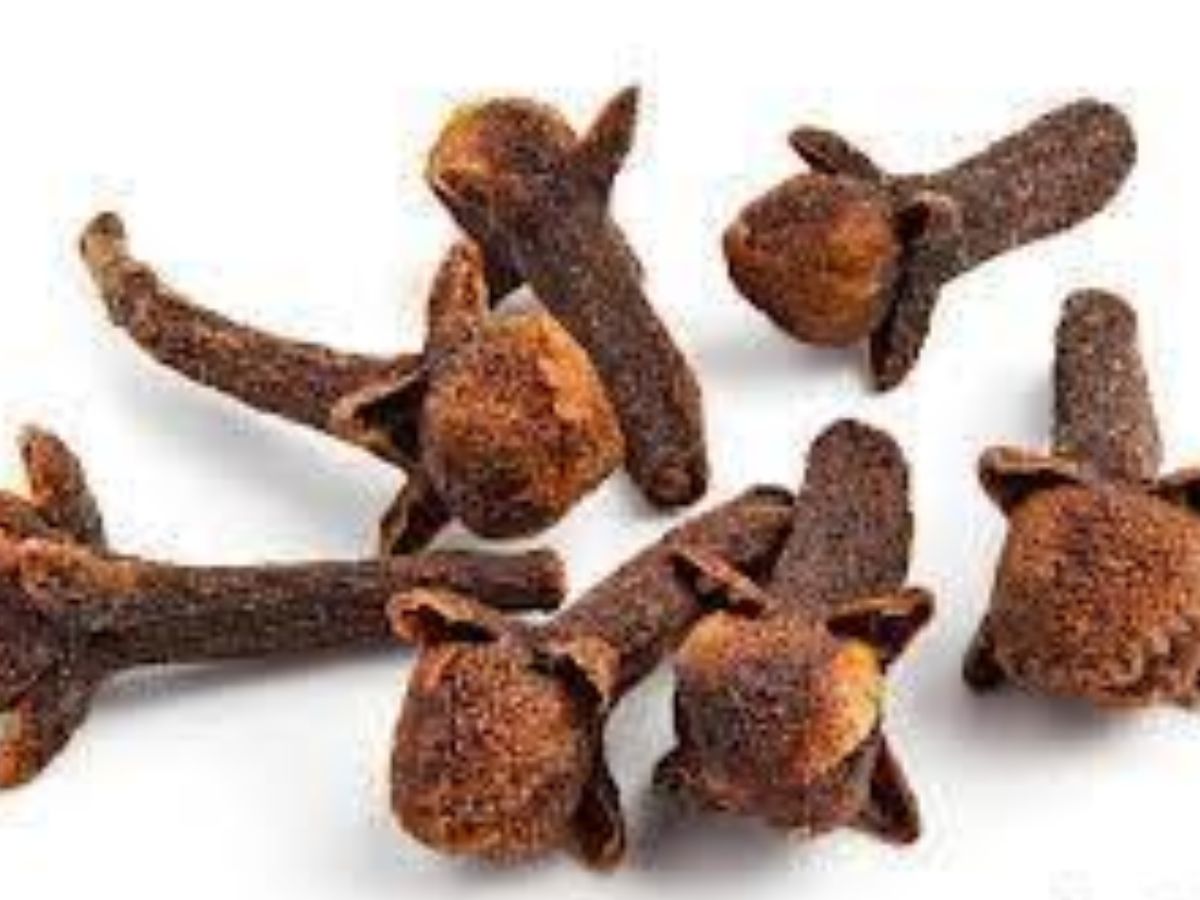 क्या बरसात में आपके भी नमक या चीनी हो रहे खराब ? अपनाए ये पाँच देसी नुसखें और देखे कमाल। - Photo Gallery