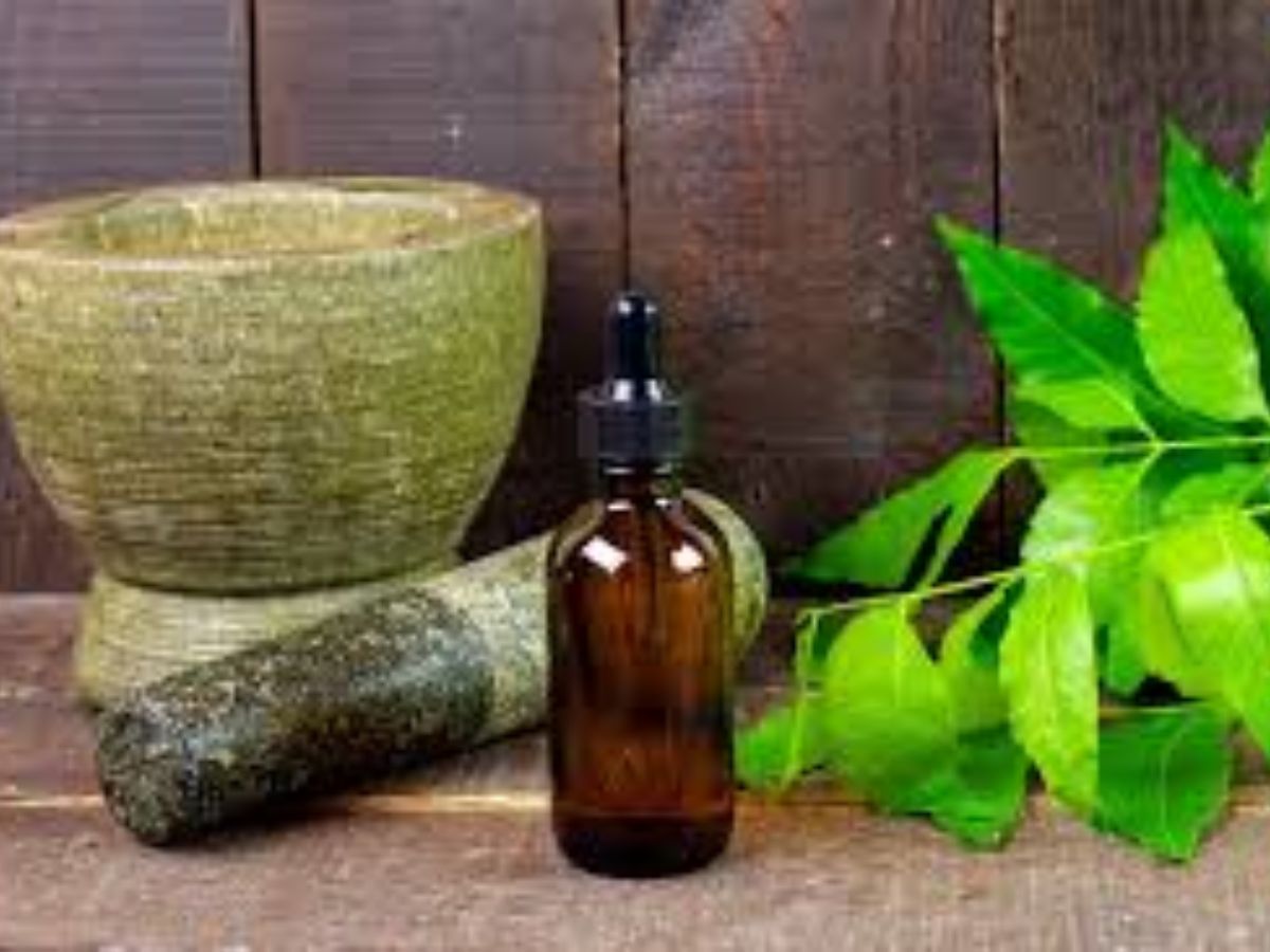 बारिश के मौसम में चींटियों का आतंक? अब नहीं! अपनाएं ये ज़बरदस्त उपाय - Photo Gallery