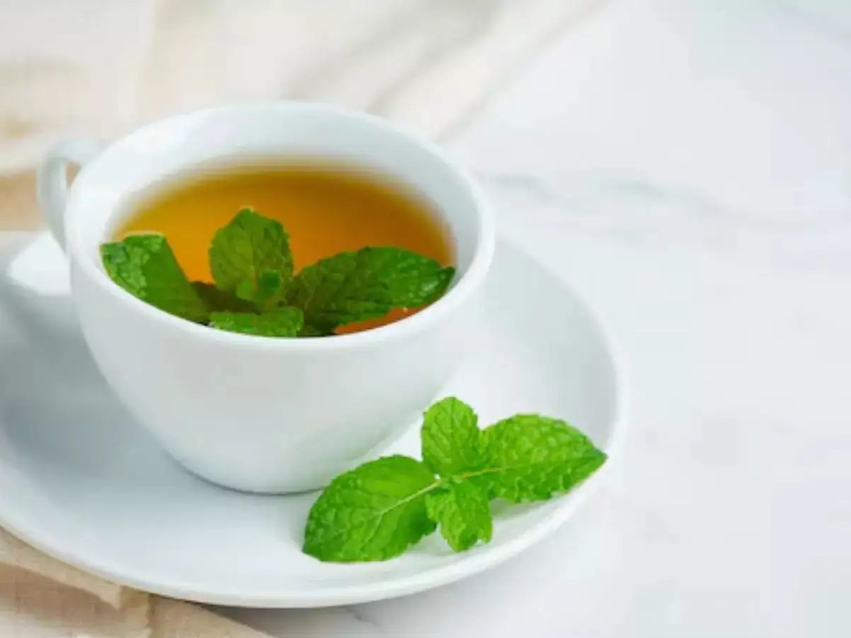 वजन घटाना हो या इम्यूनिटी बढ़ानी हो। ये हर्बल टीज हैं आपके लिए सबसे बेस्ट - Photo Gallery