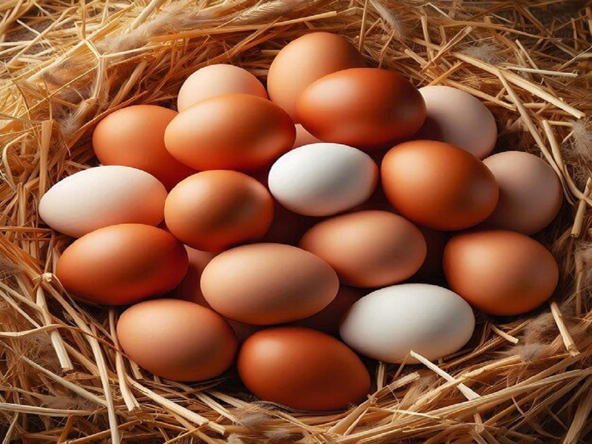 7 Tips to Rid of Dandruff And Itchy Scalp Naturally: अगर आप भी हैं डैंड्रफ से परेशान तो लगा लीजिए 7 चीजें मिल जायेगी - Photo Gallery