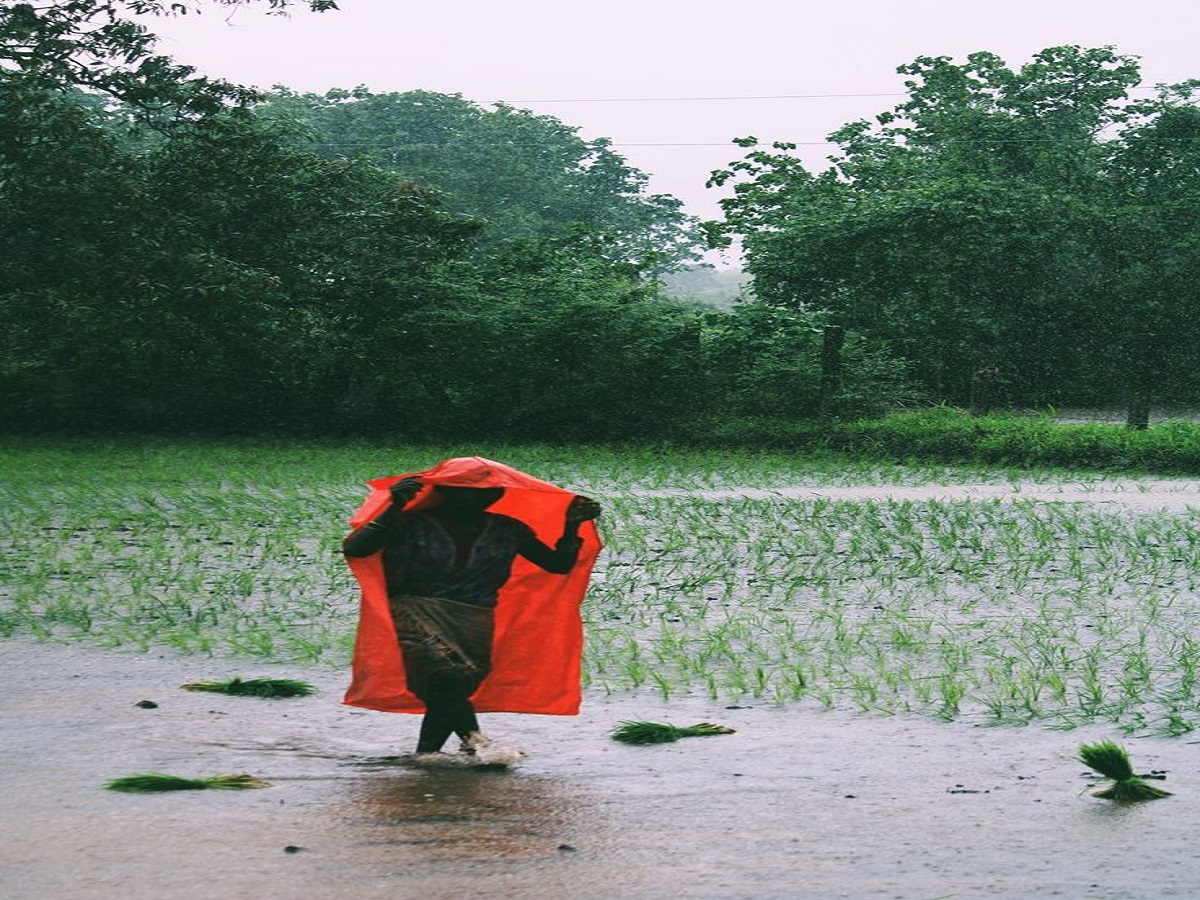Which cities receive the heaviest rainfall in India? Know their names!: भारत मे सबसे ज्यादा मूसलाधार बारिश किन-किन शहरों मे होती है ? जानिए इनके नाम ! - Photo Gallery