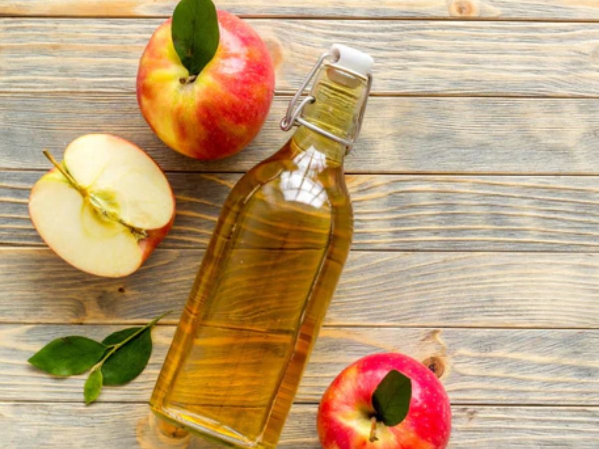 Monsoon 2025: मानसून में चाहिए फ्रिज फ्री बालों से छुटकारा ? तो अपनाए ये कुछ घरेलू नुस्खे जो है बिल्कुक देसी । - Photo Gallery