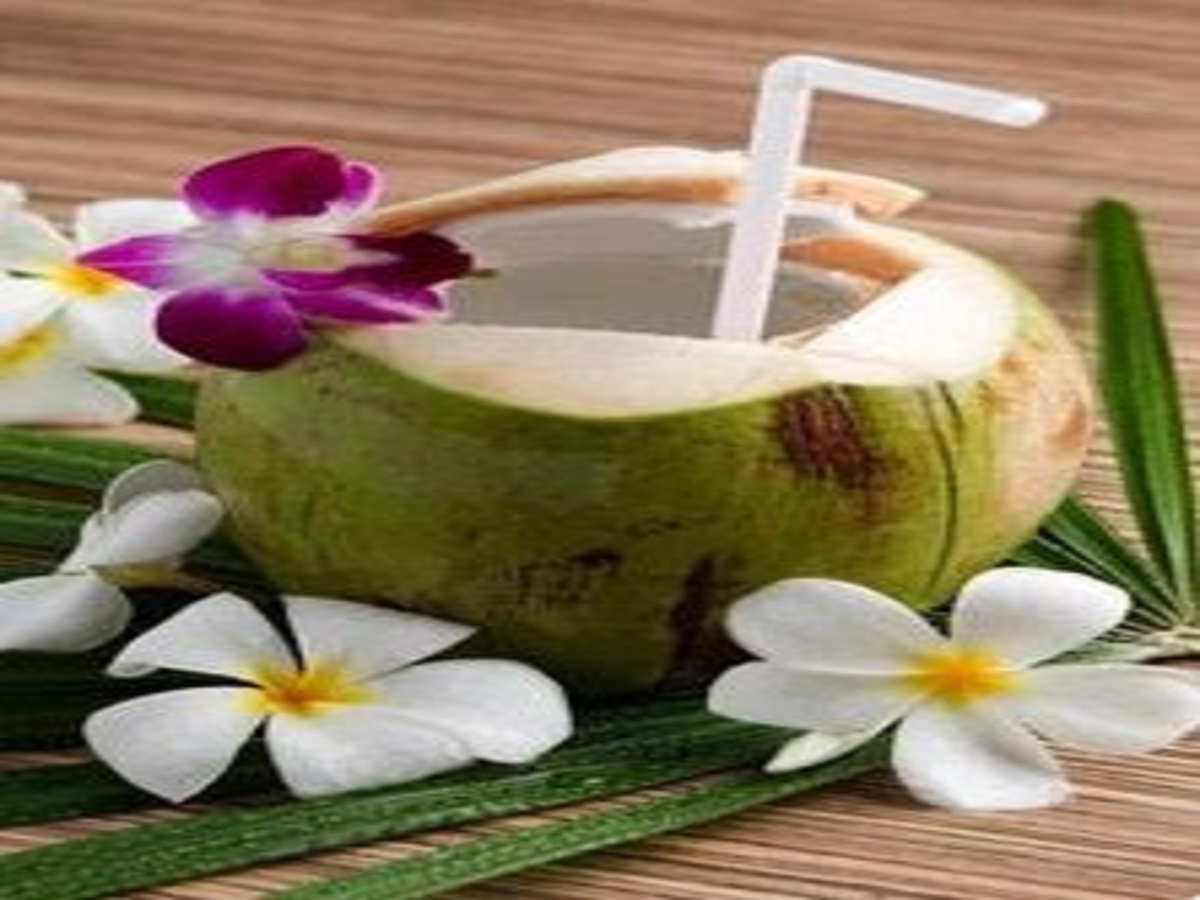 What are the benefits of consuming coconut water? Let’s know!: नारियल पानी के सेवन करने के क्या फायदे है ? आइए जानते है ! - Photo Gallery