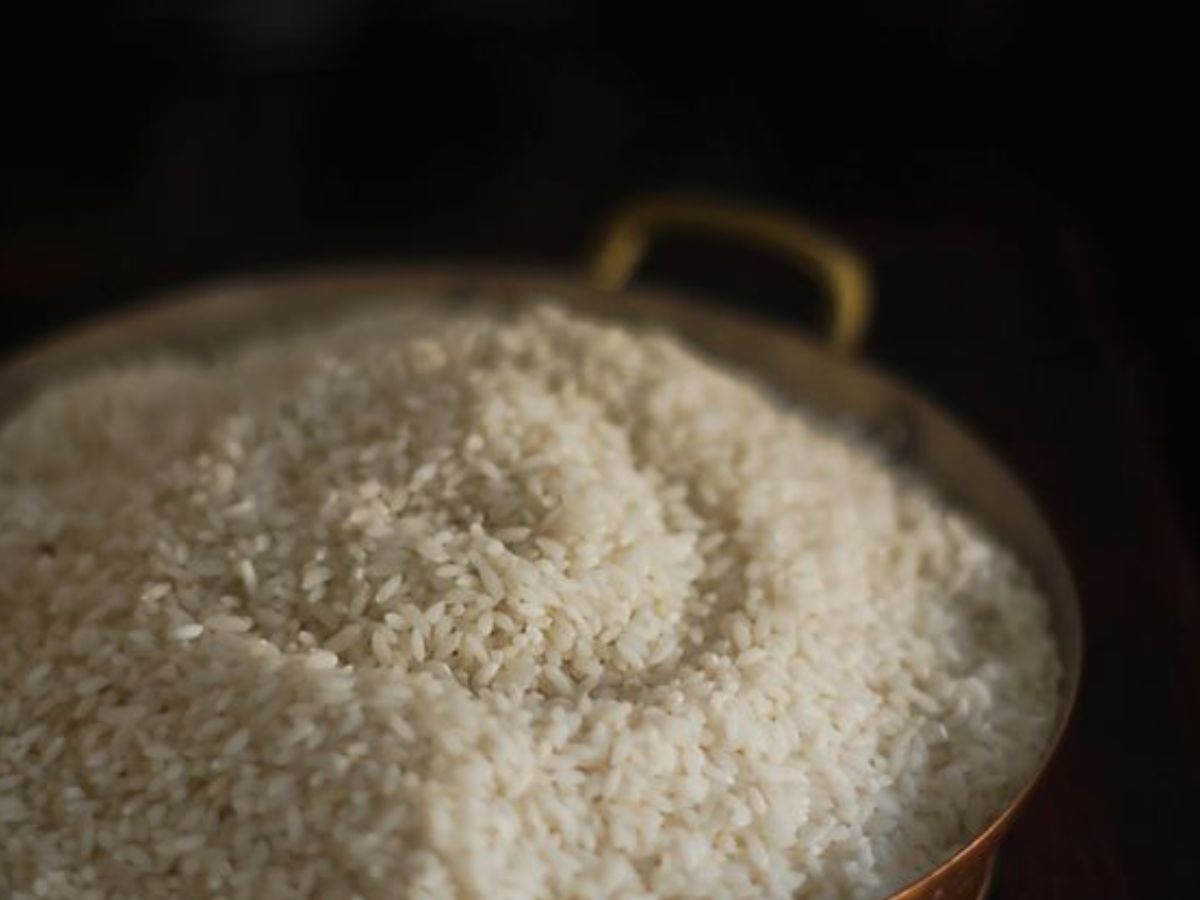 White vs brown rice: जानें सफेद चावल और ब्राउन चावल में से कौन सा चावल रखता है हमारी सेहत का ध्यान - Photo Gallery