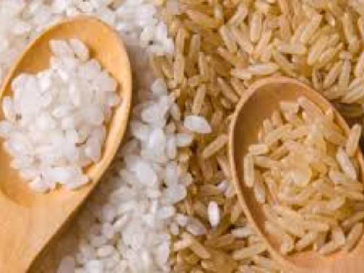 White Rice vs Brown Rice: फैट लॉस प्लान में कौन है हीरो और कौन है विलेन? - Photo Gallery