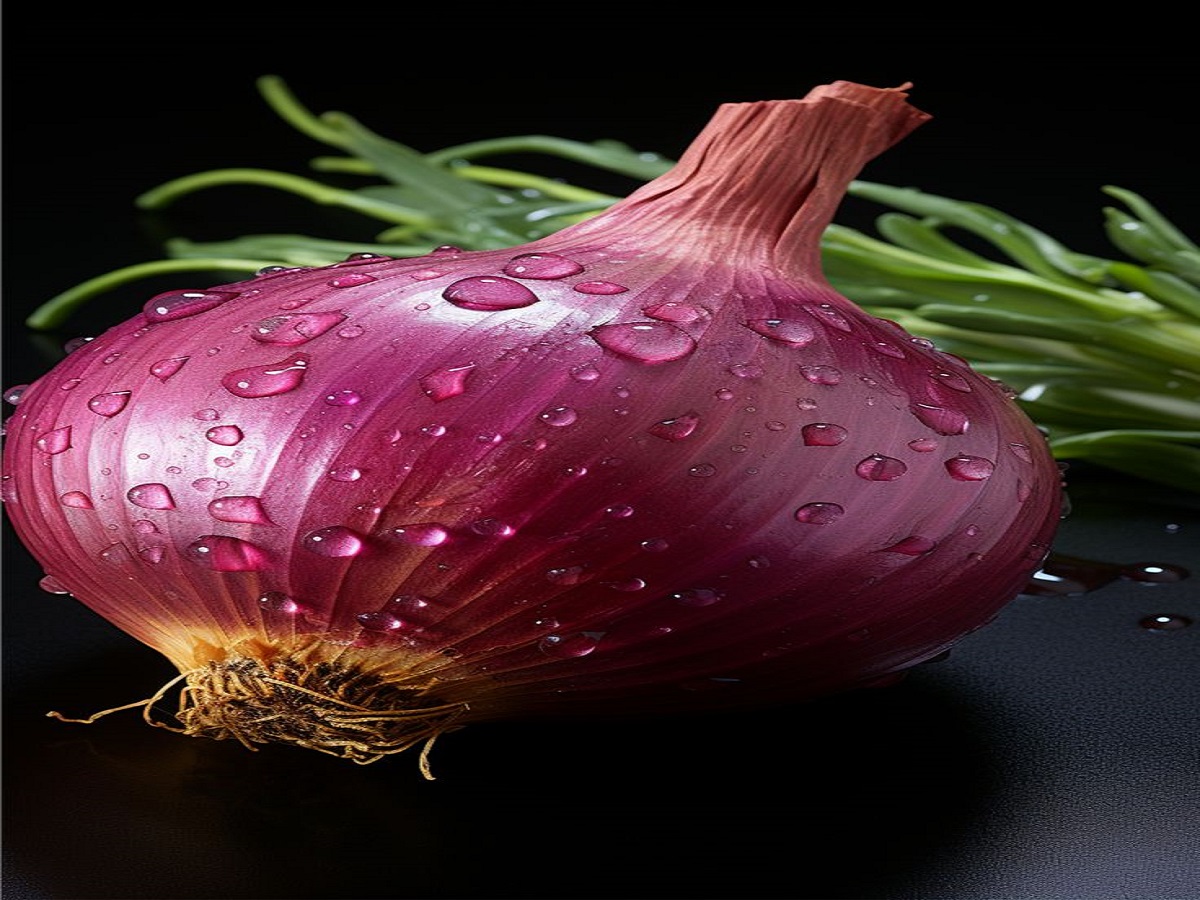 7 Tips to Rid of Dandruff And Itchy Scalp Naturally: अगर आप भी हैं डैंड्रफ से परेशान तो लगा लीजिए 7 चीजें मिल जायेगी - Photo Gallery