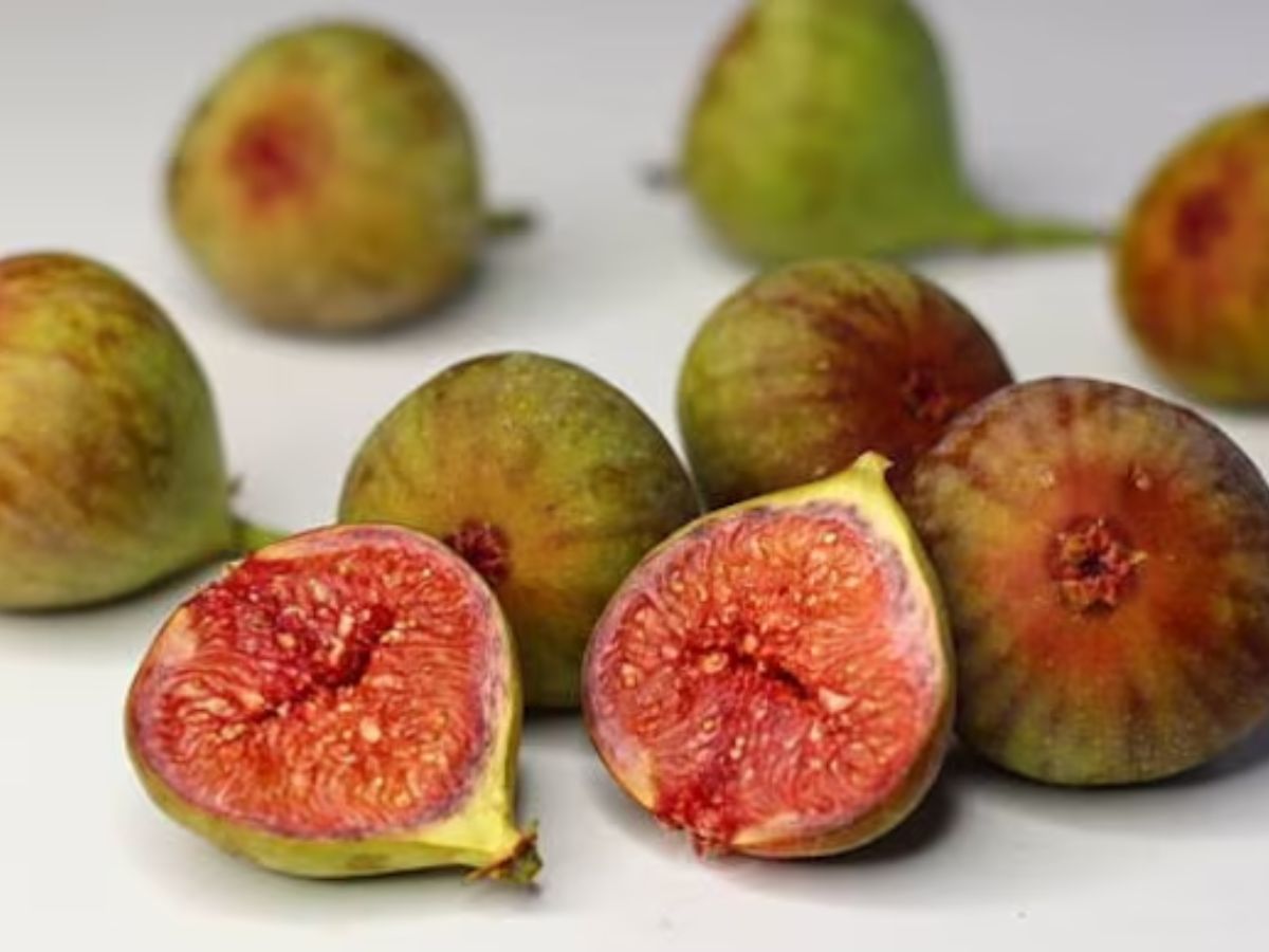 शरीर को फौलादी बना देगा ये इकलौता ड्राई फ्रूट, स्किन भी हो जाएगी एकदम ग्लोइंग - Photo Gallery