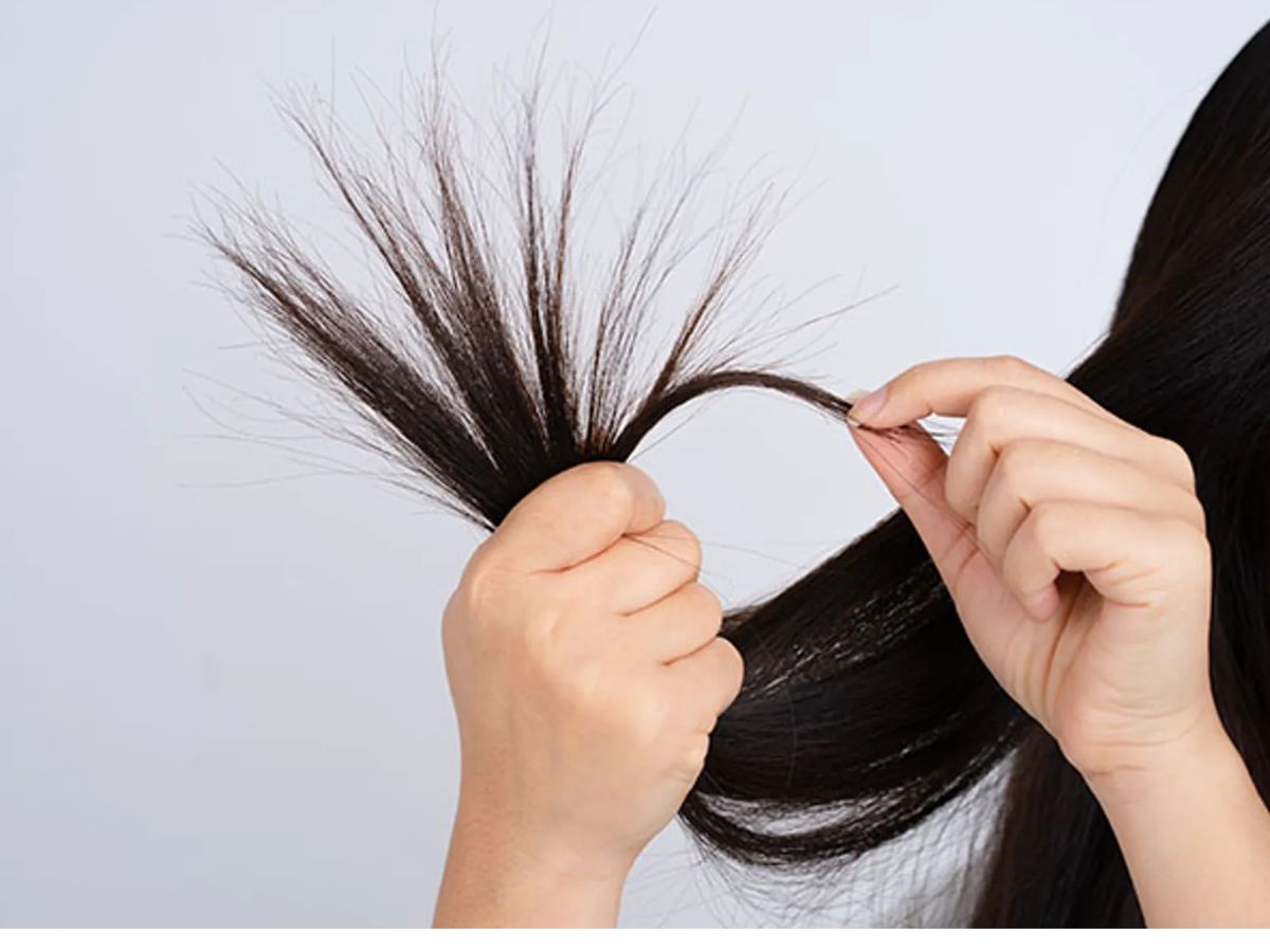 क्या कैस्टर ऑयल से बढ़ती है बालों की लंबाई? जानें 7 बड़े फायदे - Photo Gallery