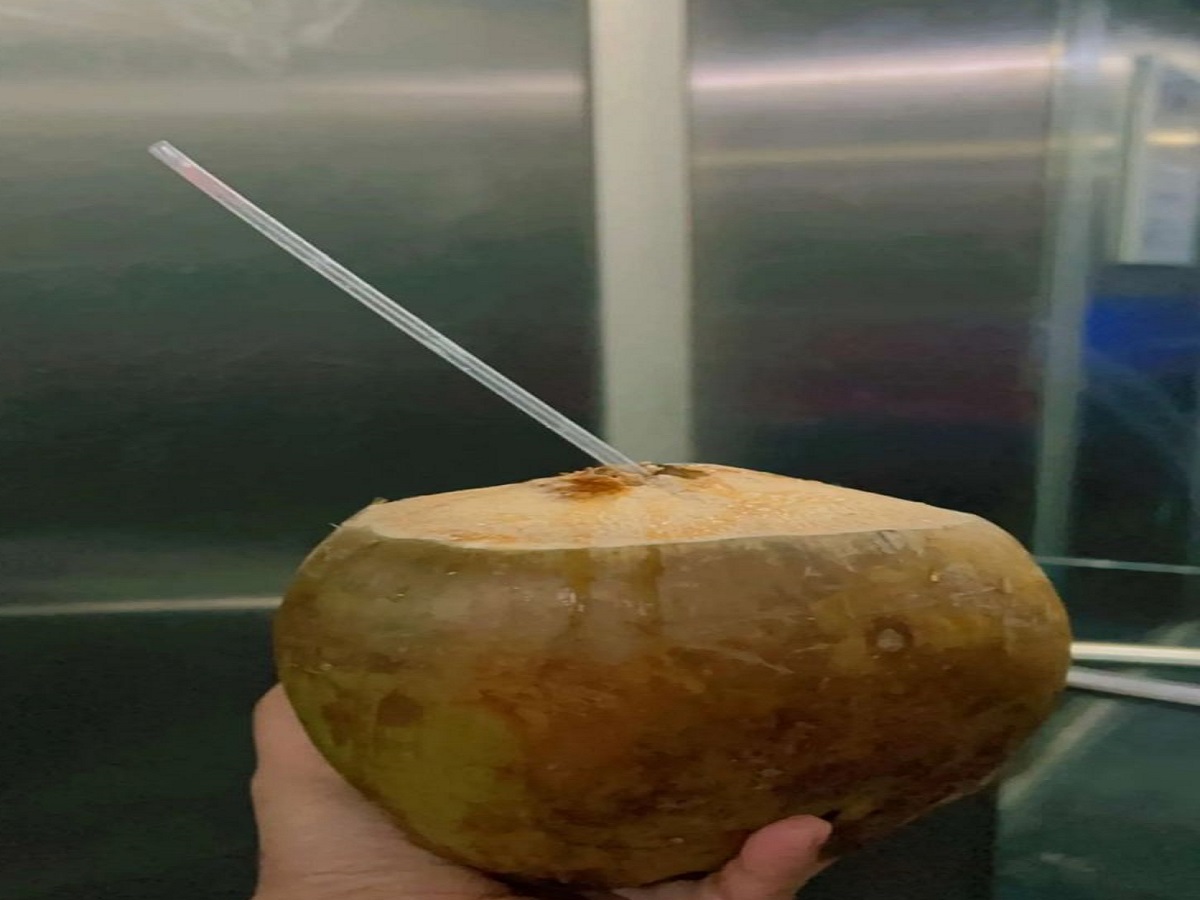 What are the benefits of consuming coconut water? Let’s know!: नारियल पानी के सेवन करने के क्या फायदे है ? आइए जानते है ! - Photo Gallery