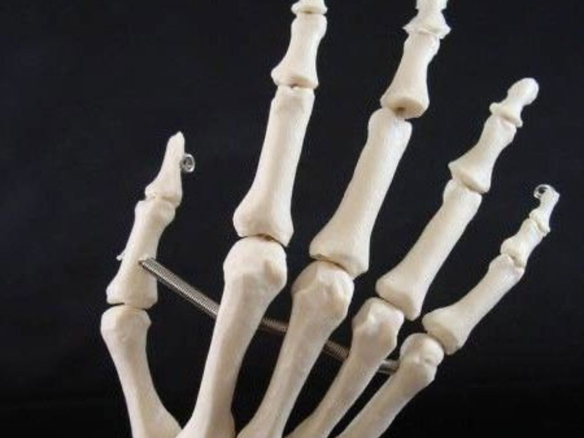 Benefits Of Cycling: अगर आप भी चलाते है साइकिल तो इन बीमारियों से मिल सकता है आपको छुटकारा - Photo Gallery