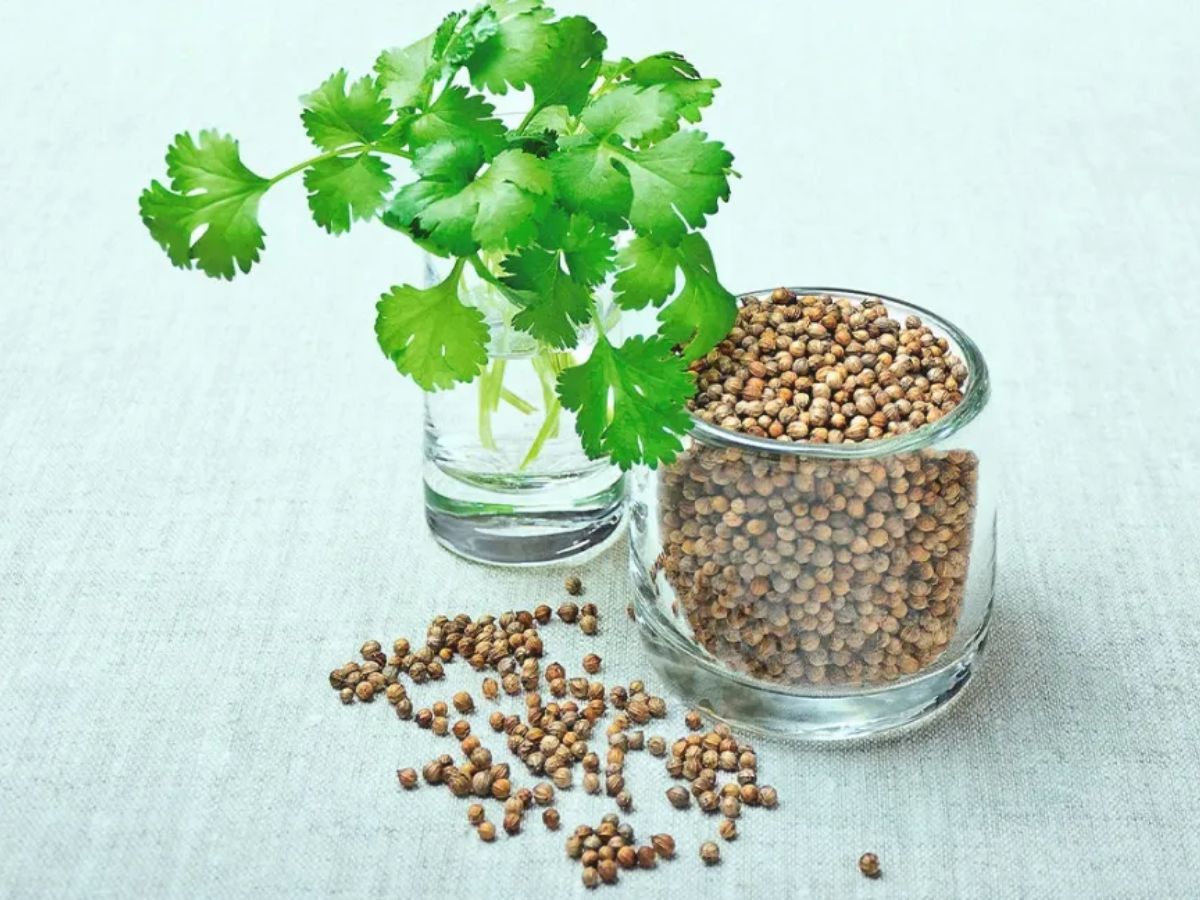 सावधान! दूध के साथ इन चीज़ों का सेवन कर सकता है आपकी सेहत बर्बाद - Photo Gallery