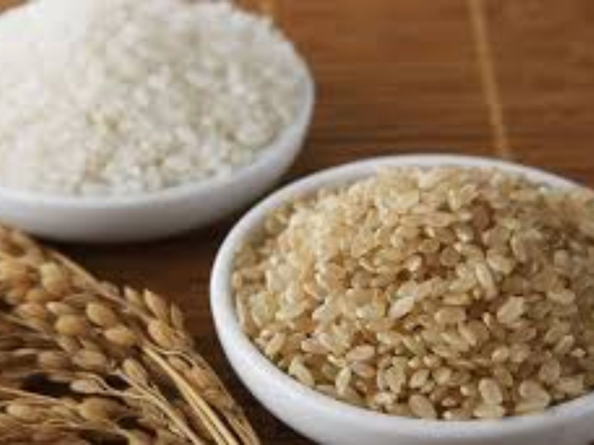 White Rice vs Brown Rice: फैट लॉस प्लान में कौन है हीरो और कौन है विलेन? - Photo Gallery