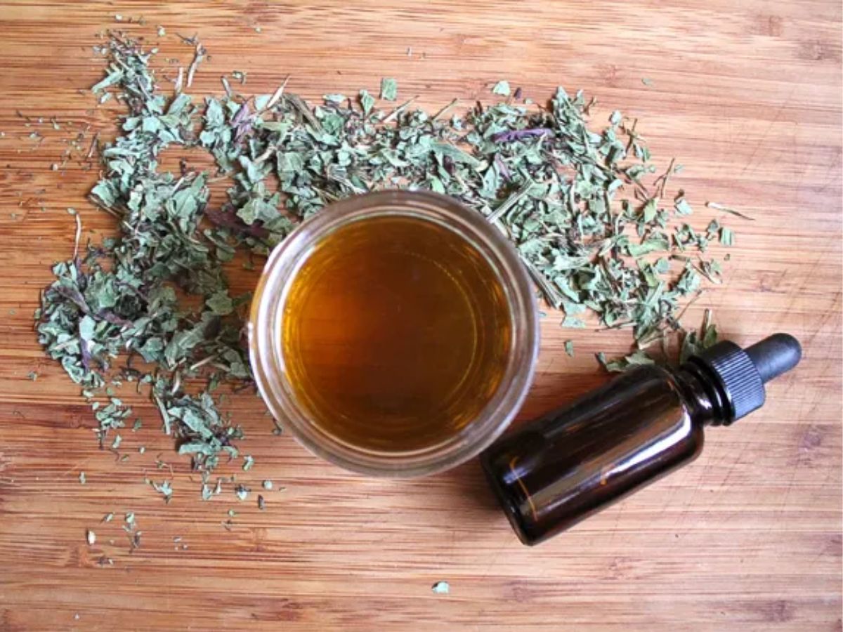 वजन घटाना हो या इम्यूनिटी बढ़ानी हो। ये हर्बल टीज हैं आपके लिए सबसे बेस्ट - Photo Gallery