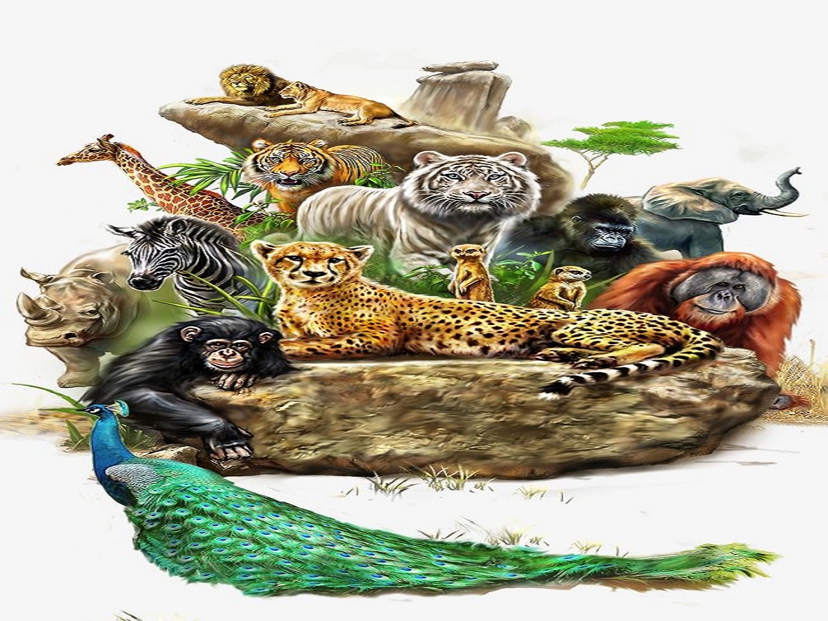 The World’s Most Famous Zoos: दुनिया के सबसे प्रसिद्ध चिड़ियाघर जहा वन्यजीवन से होती है नजदीकी मुलाकात - Photo Gallery