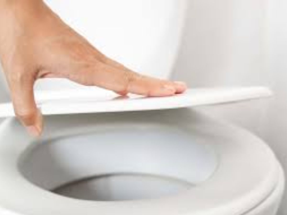 Health tips: क्या हर टॉयलेट सीट है जर्म्स का घर? अगर हाँ तो जानिए सच्चाई - Photo Gallery