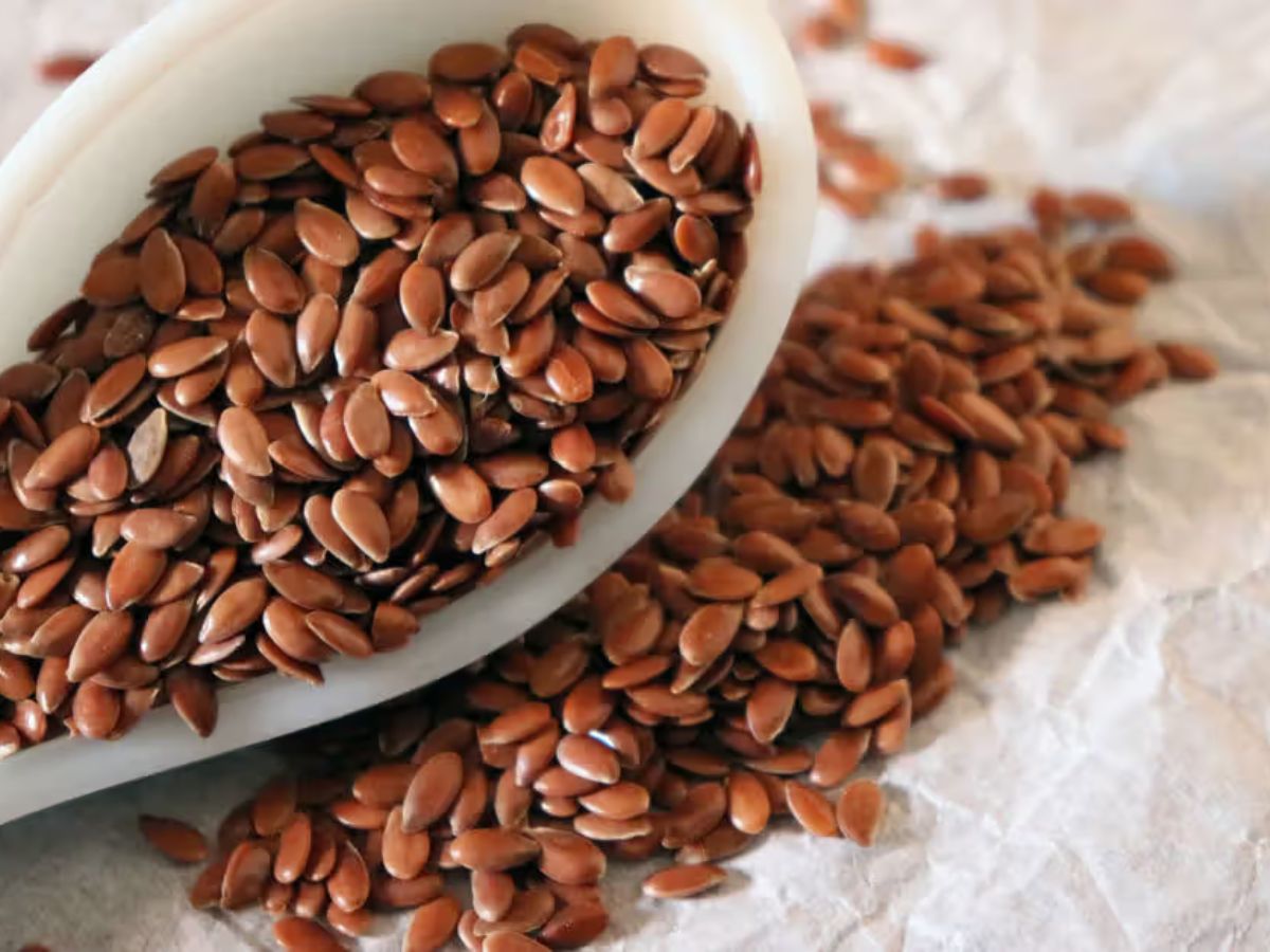 6 टेस्टी और प्रोटीन से भरपूर पराठे, जो दिल भी जीतें और सेहत भी - Photo Gallery