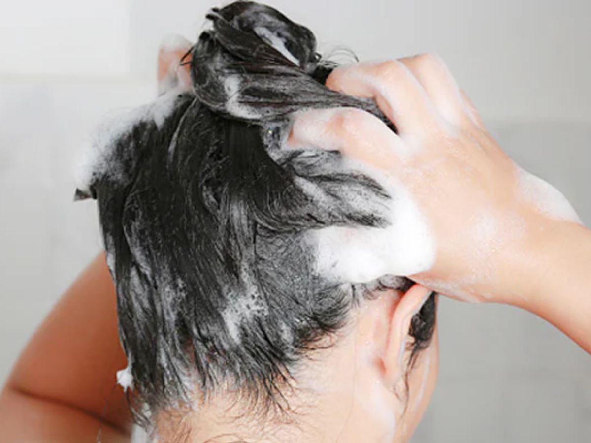 Monsoon 2025: मानसून में चाहिए फ्रिज फ्री बालों से छुटकारा ? तो अपनाए ये कुछ घरेलू नुस्खे जो है बिल्कुक देसी । - Photo Gallery