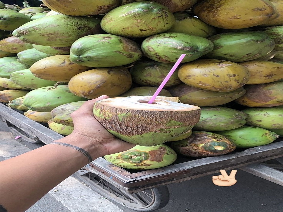 What are the benefits of consuming coconut water? Let’s know!: नारियल पानी के सेवन करने के क्या फायदे है ? आइए जानते है ! - Photo Gallery